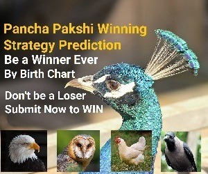 Pancha Pakshi Winning Strategy Prediction